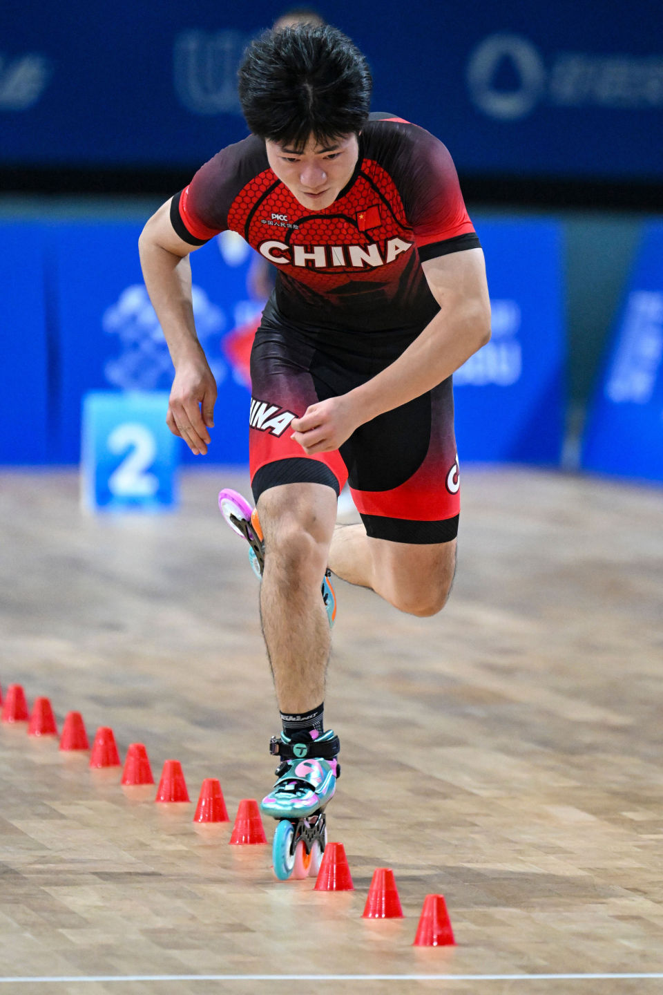 表团副团长, 获得金牌, 实现了参赛